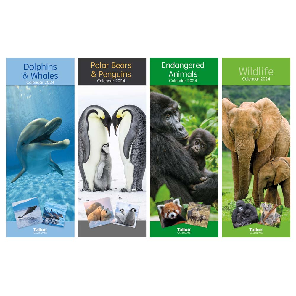 Calendar Super Slim - Dolphins & Whales, Animals,