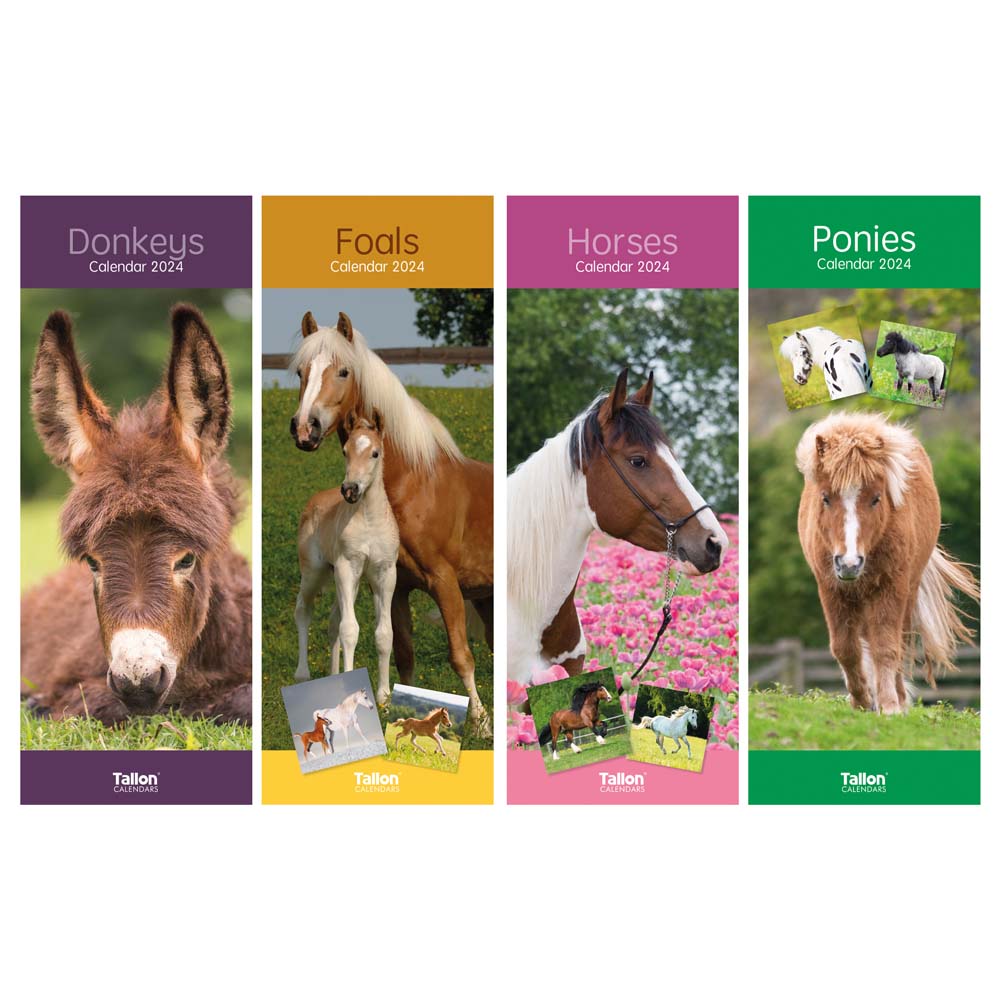 Calendar Super Slim - Donkeys, Foals, Horses, Ponies